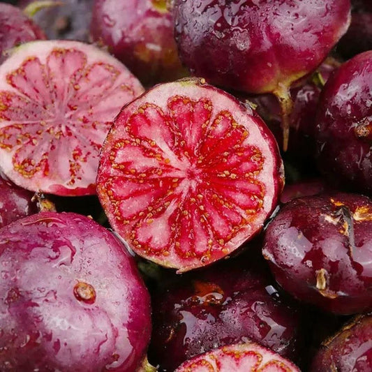 Close-up of fresh pure red ginseng berries for sale with vibrant red interior and glossy exterior