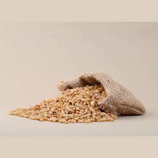 THE GIR FARMER Whole Wheat Grain Foods - Organic & Pure
