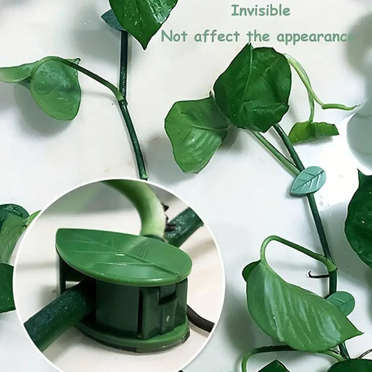 Plant Climbing Wall Clip, Self-Adhesive Vines Support Hooks for Indoor Outdoor Use (10 Pcs Set) Your Brand
