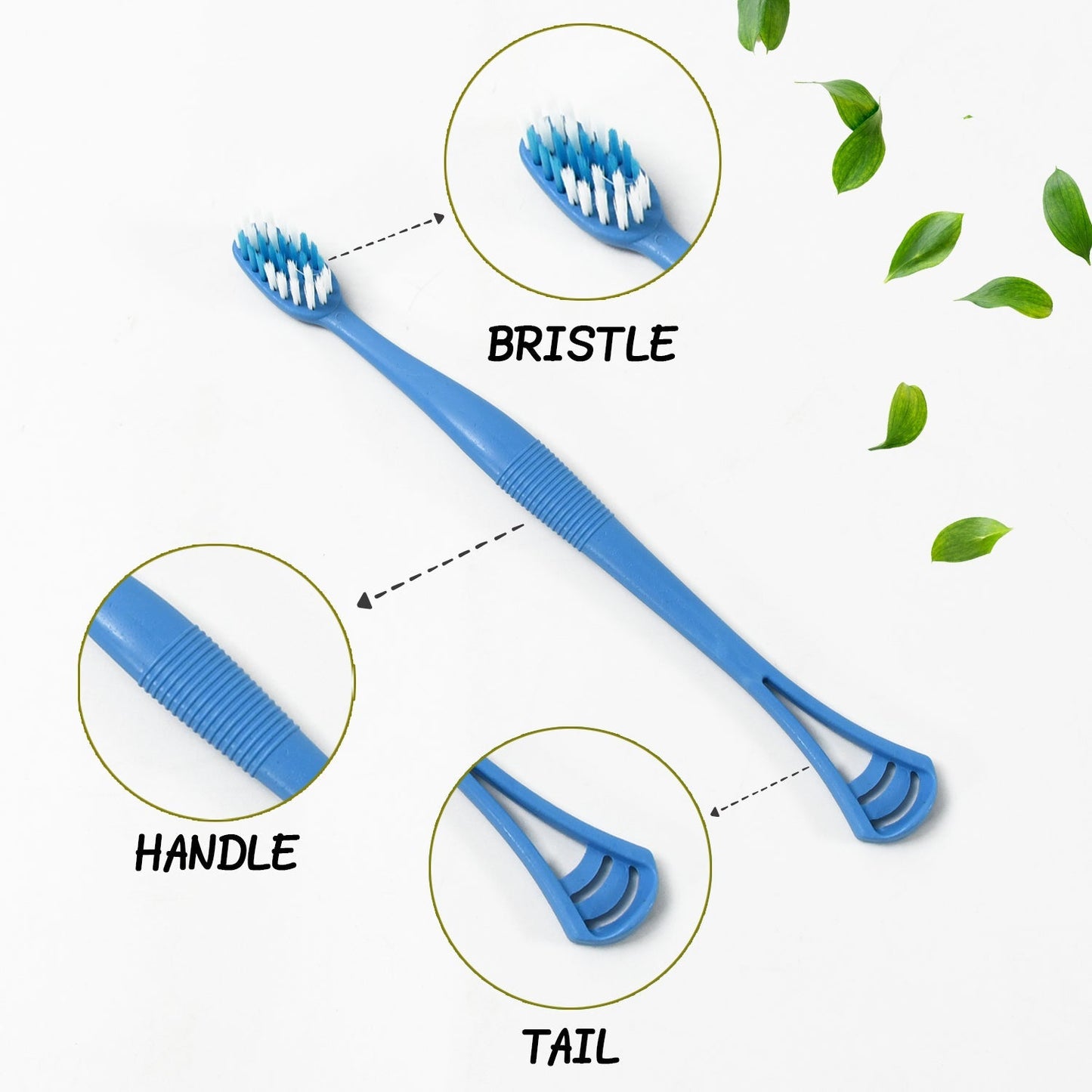 2-in-1 Tooth Brush with Tongue Scraper, Soft Bristle & Long Handle (8Pcs) Soft Toothbrush Your Brand