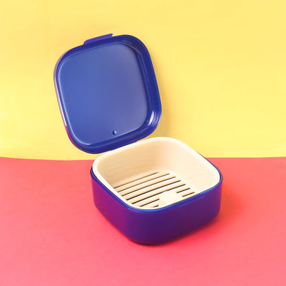 Oblivion Multi-Purpose Storage Box, DENTURE CASE (mix color & 1 Pc) Your Brand