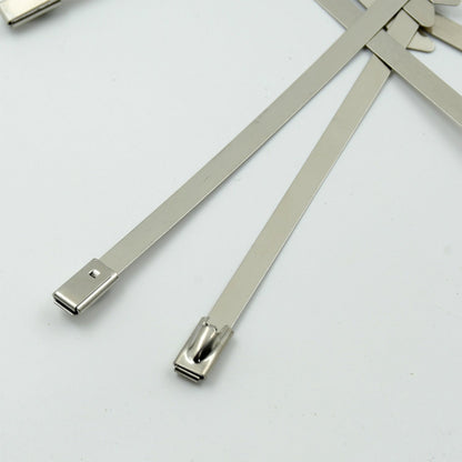 Stainless Steel Cable Ties for Solar & Home Use (100 Pc, 4.6x100mm) Your Brand