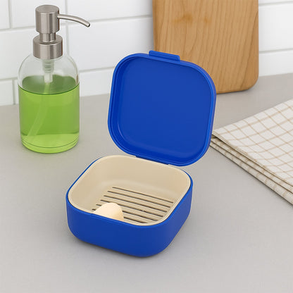 Blue Oblivion Multi-Purpose Storage Box with Lid, DENTURE CASE (1 Pc) Your Brand