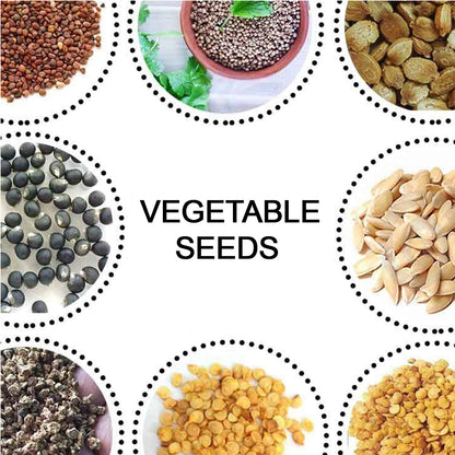 15 Varieties of Vegetable Seeds Combo (1 Pkt. / 15 Varieties) Your Brand