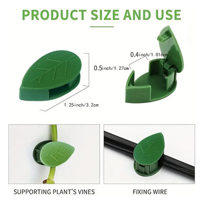 Plant Climbing Wall Clip, Self-Adhesive Vines Support Hooks for Indoor Outdoor Use (10 Pcs Set) Your Brand