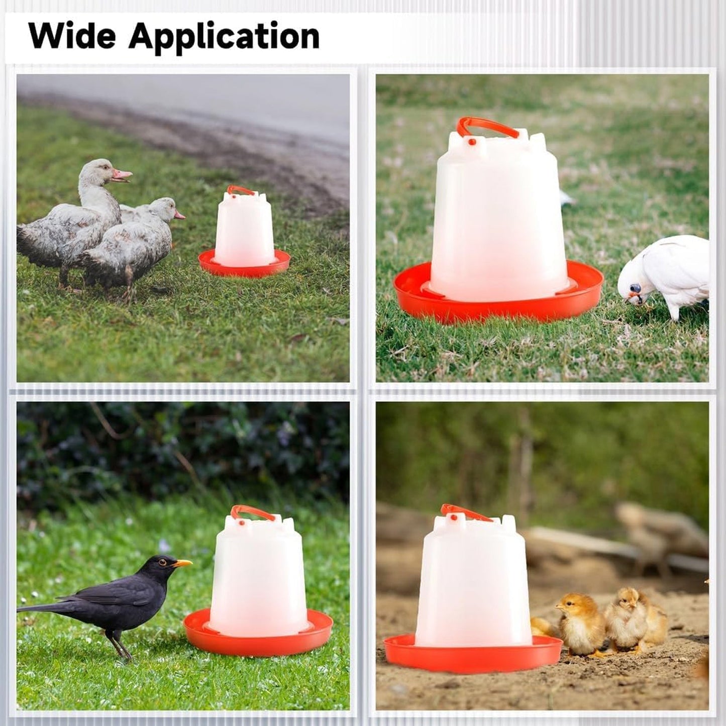 Automatic Chicken Drinker Chicken Feeder with Humanized Handle Your Brand