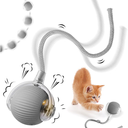 Rechargeable Interactive Cat Toy Ball with Detachable Braided Tail and LED Light (1 Pc) Your Brand