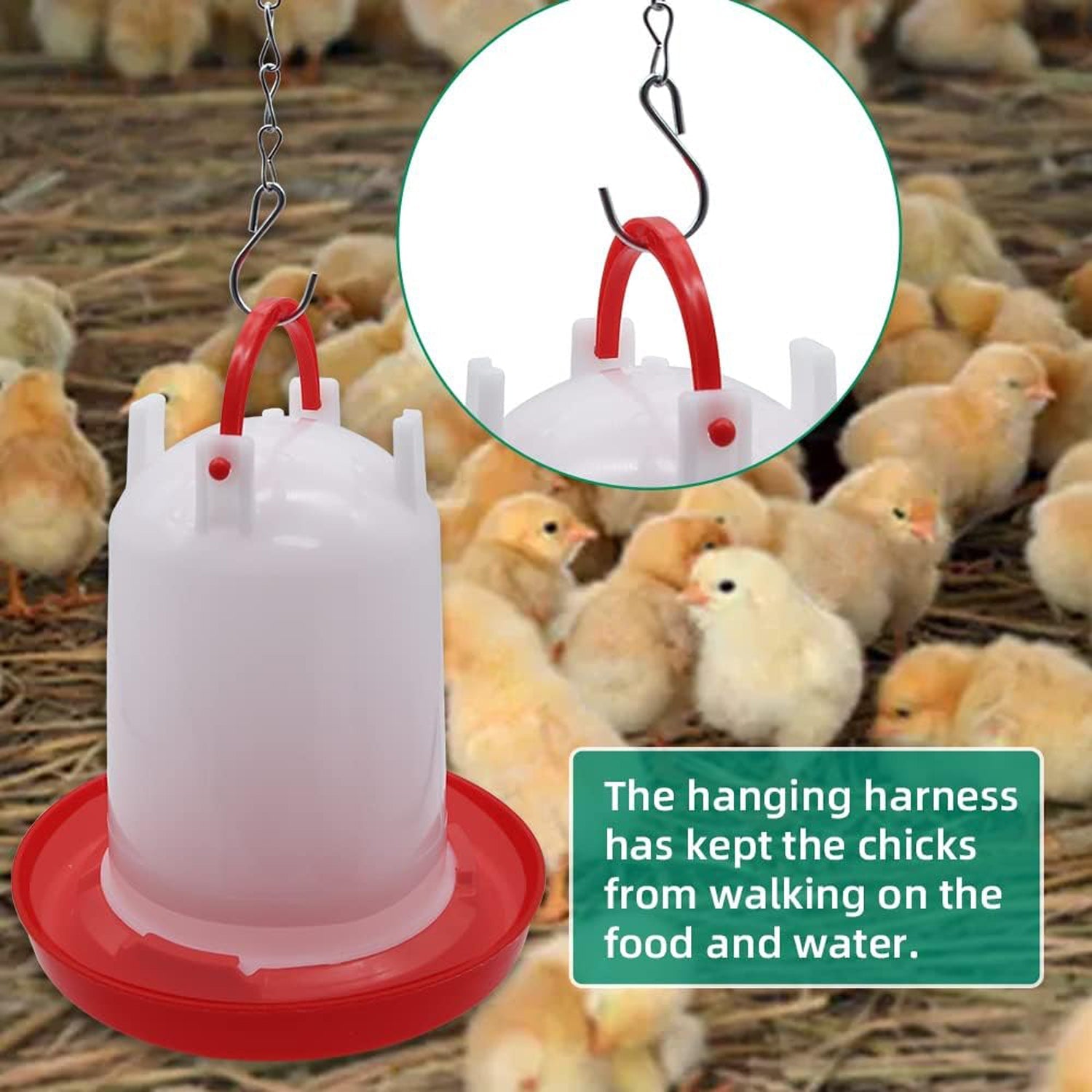 Automatic Chicken Drinker Chicken Feeder with Humanized Handle Your Brand