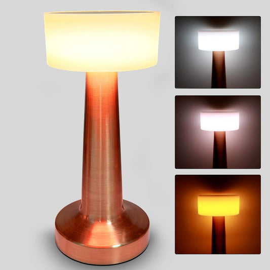 LED Lamp with Touch Control | Decorative Desk Lamp, Portable Metal LED Table Lamp, USB Rechargeable, 3 Color, 3 Levels Brightness, Dimmable Eye Protection Modern Lamp for Home Decor Party Kids Room Bedroom (1 Pc) Your Brand