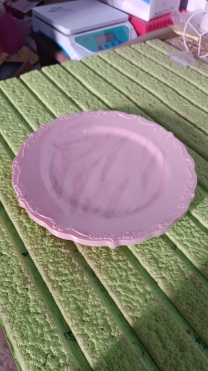 Plastic Dinner Plates Wedding Birthday Party Tableware Supplies (6 Pcs Set) Your Brand