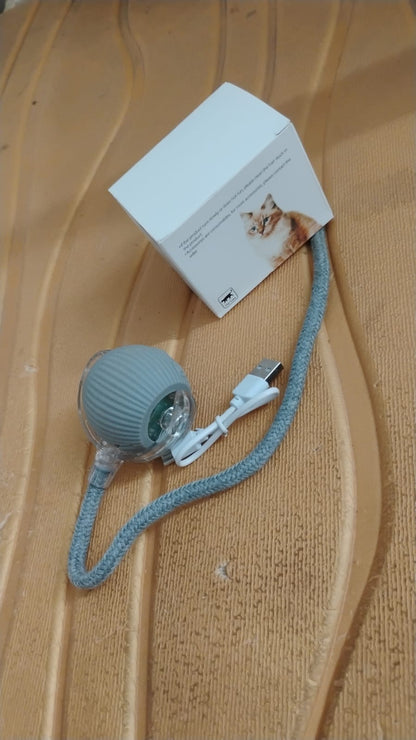Rechargeable Interactive Cat Toy Ball with Detachable Braided Tail and LED Light (1 Pc) Your Brand