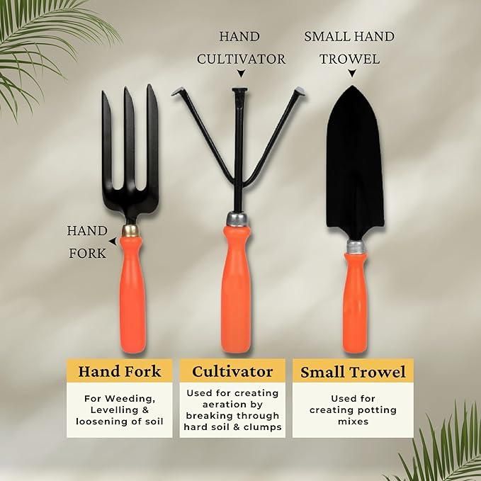 6 in 1 Garden Tools with Box 8feb97-4