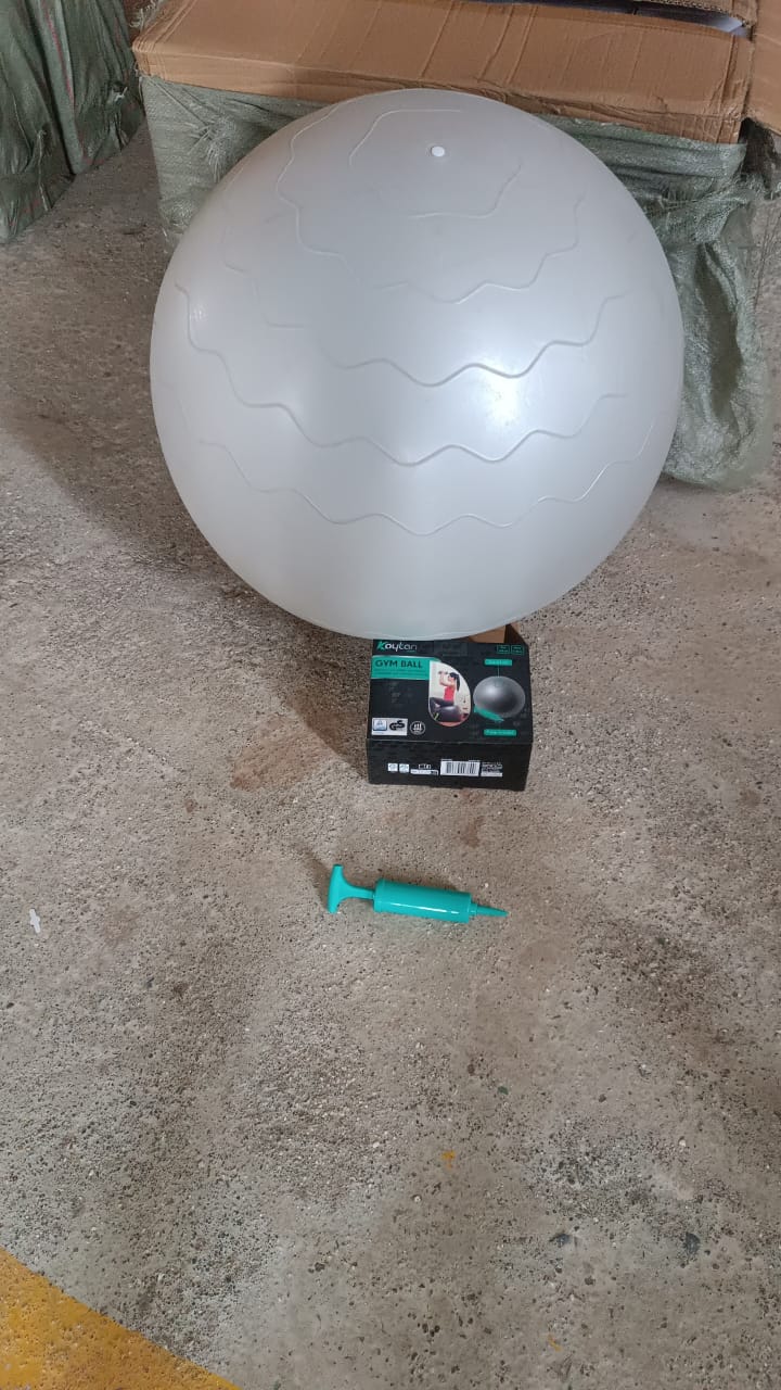 Heavy Duty Gym Ball Non-Slip Stability Ball with Foot Pump for Total Body Fitness Your Brand