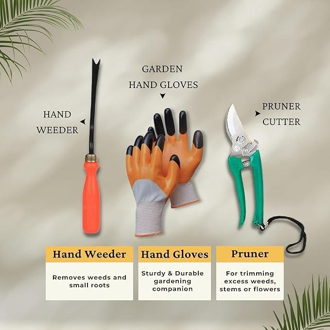 6 in 1 Garden Tools with Box 8feb97-4
