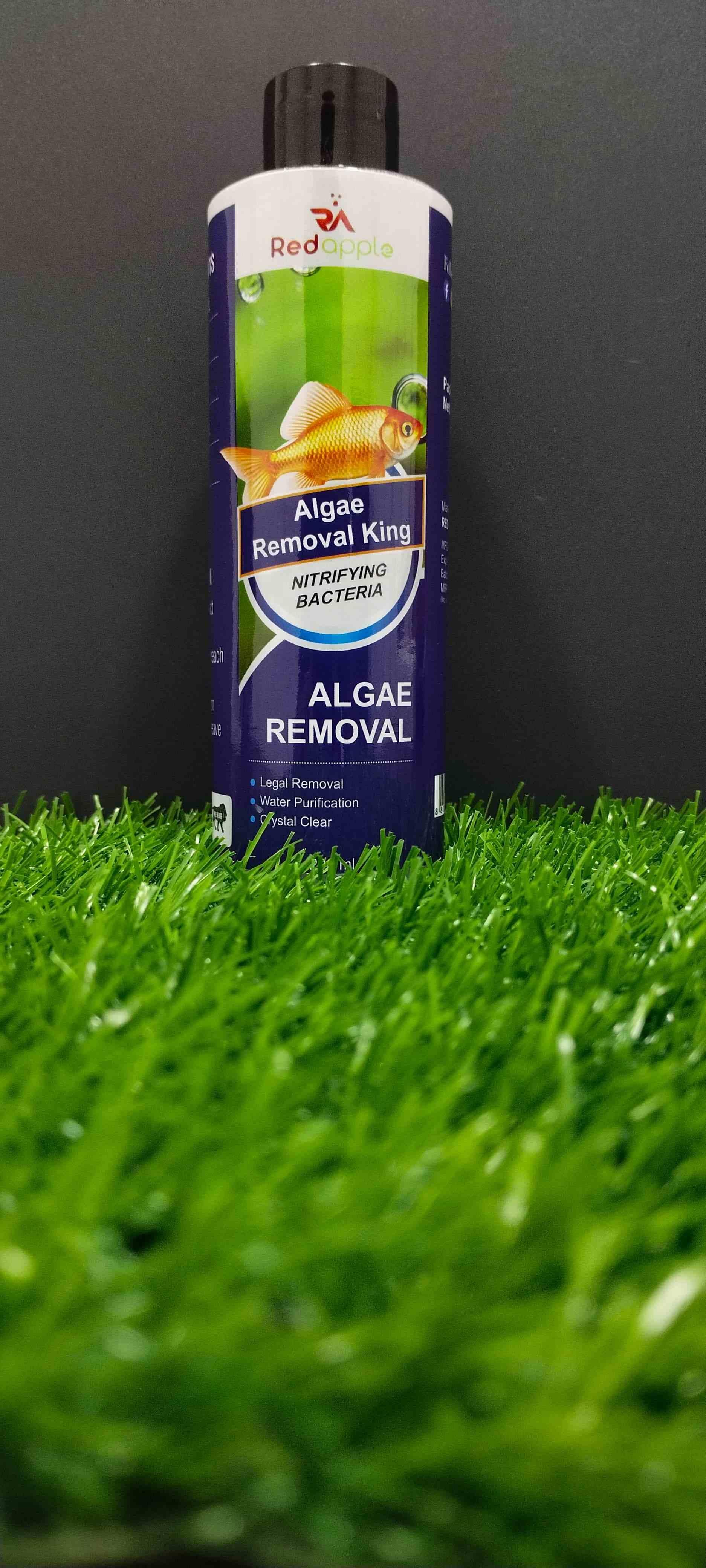 Algae Remover Fish Tank Removes Green Algae Fish Pond Algaecide Moss Removal (Pack of 2) The Gir Farmer
