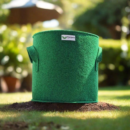 Geofabric Grow Bag for Planting 8feb97-4