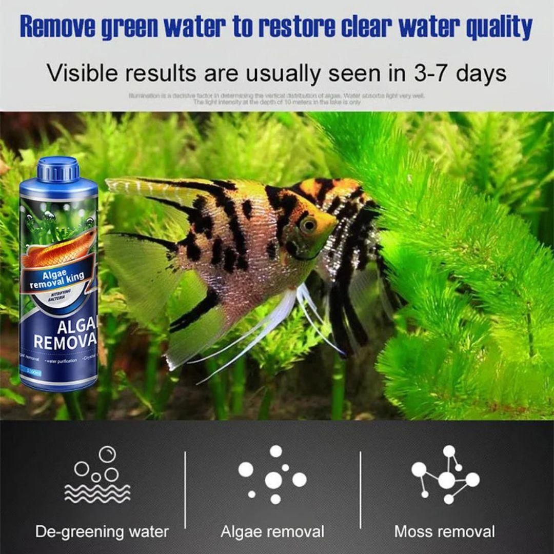 Algae Remover Fish Tank Removes Green Algae Fish Pond Algaecide Moss Removal (Pack of 2) The Gir Farmer