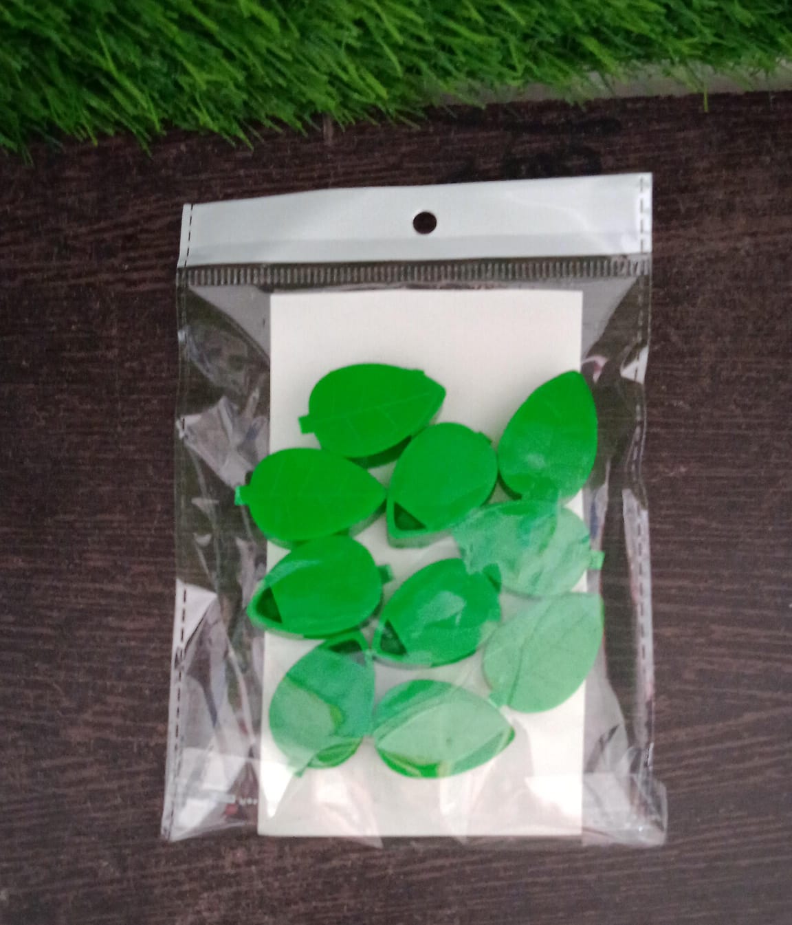 Plant Climbing Wall Clip, Self-Adhesive Vines Support Hooks for Indoor Outdoor Use (10 Pcs Set) Your Brand