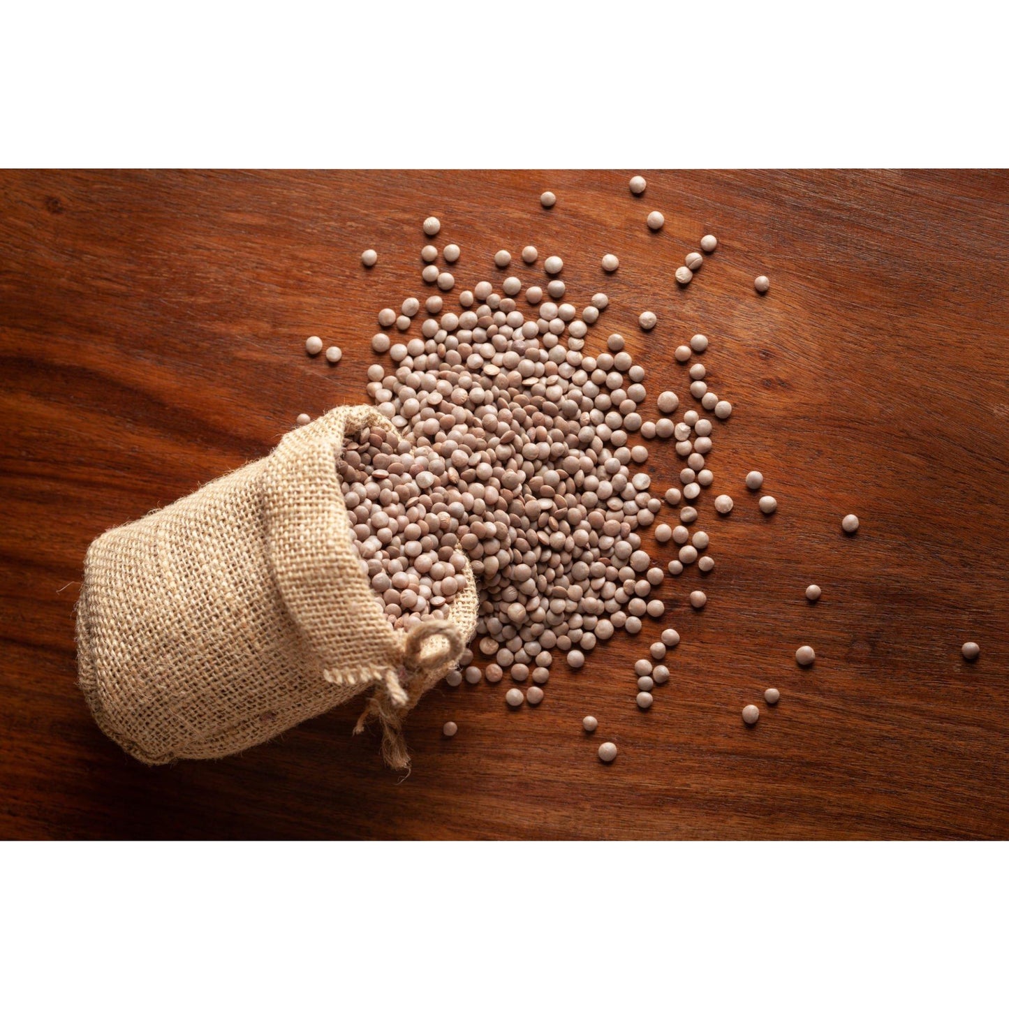Malka Masoor Daal (Lens Culinaris) - by Gir Farmer