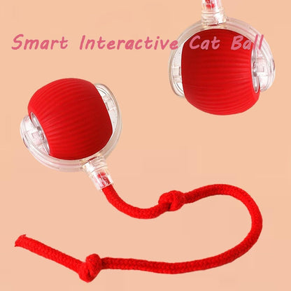 THE GIR FARMER automatic rolling ball for cats in red with clear casing and attached red rope toy