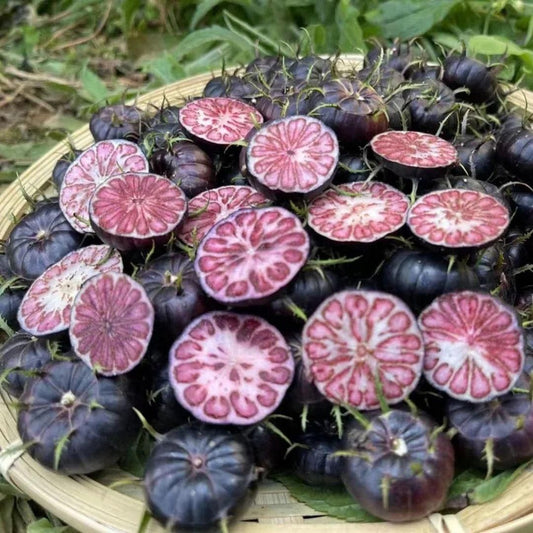 Basket filled with whole and sliced pure red ginseng berries for sale from The Gir Farmer