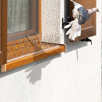 Bird spikes for balcony installed on wooden window ledge with a bird flying nearby to prevent perching