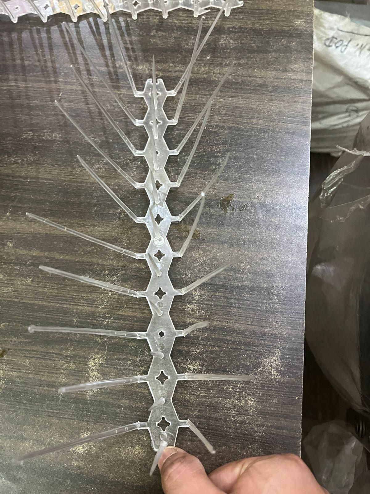 Clear plastic bird spikes for balcony designed to prevent birds from landing or nesting