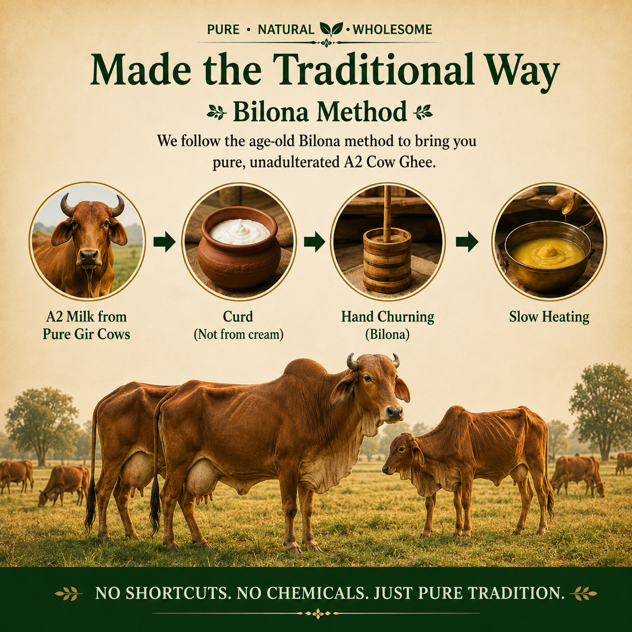 A2 Gir Cow Ghee | Organic Bilona Ghee | The Gir Farmer