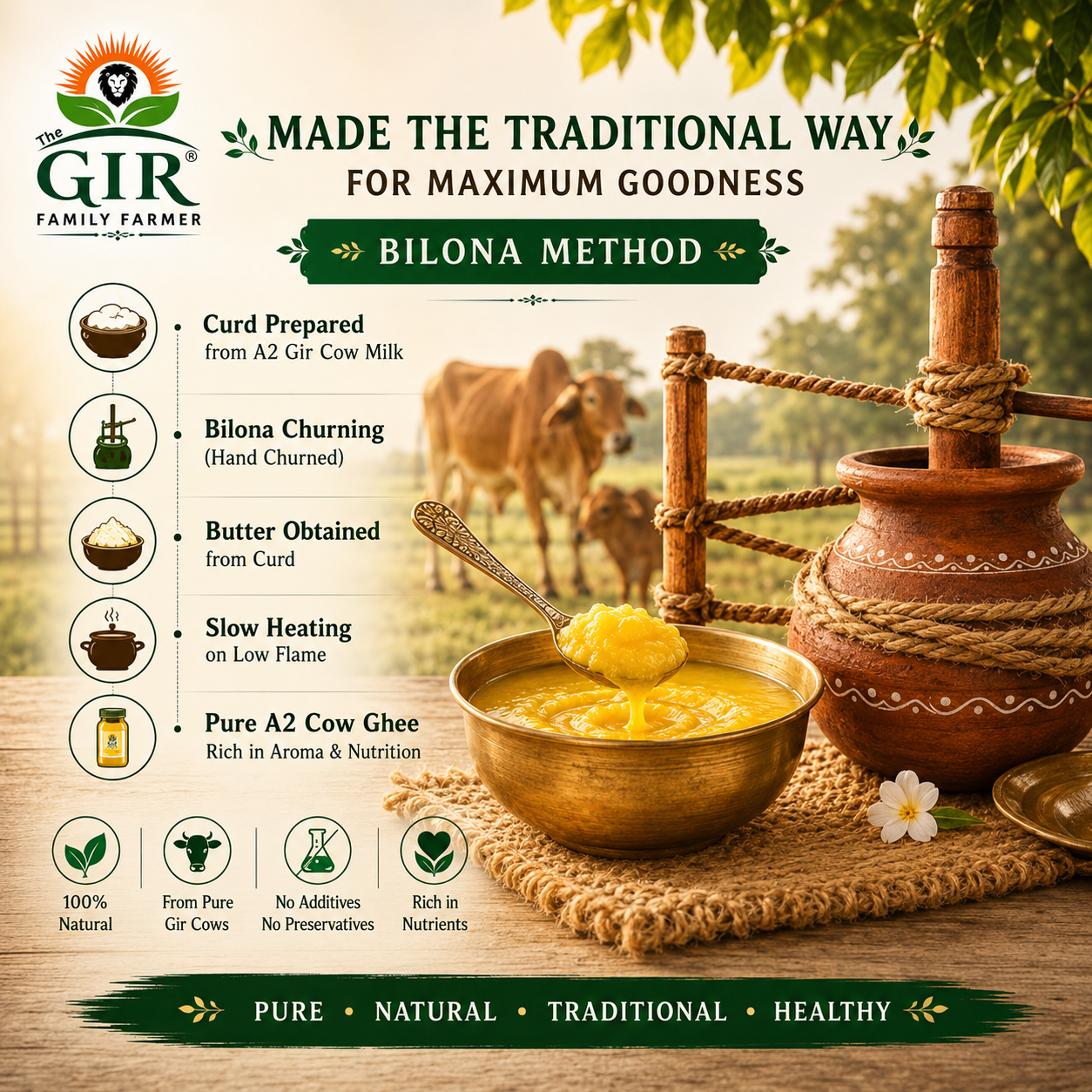 A2 Gir Cow Ghee | Organic Bilona Ghee | The Gir Farmer