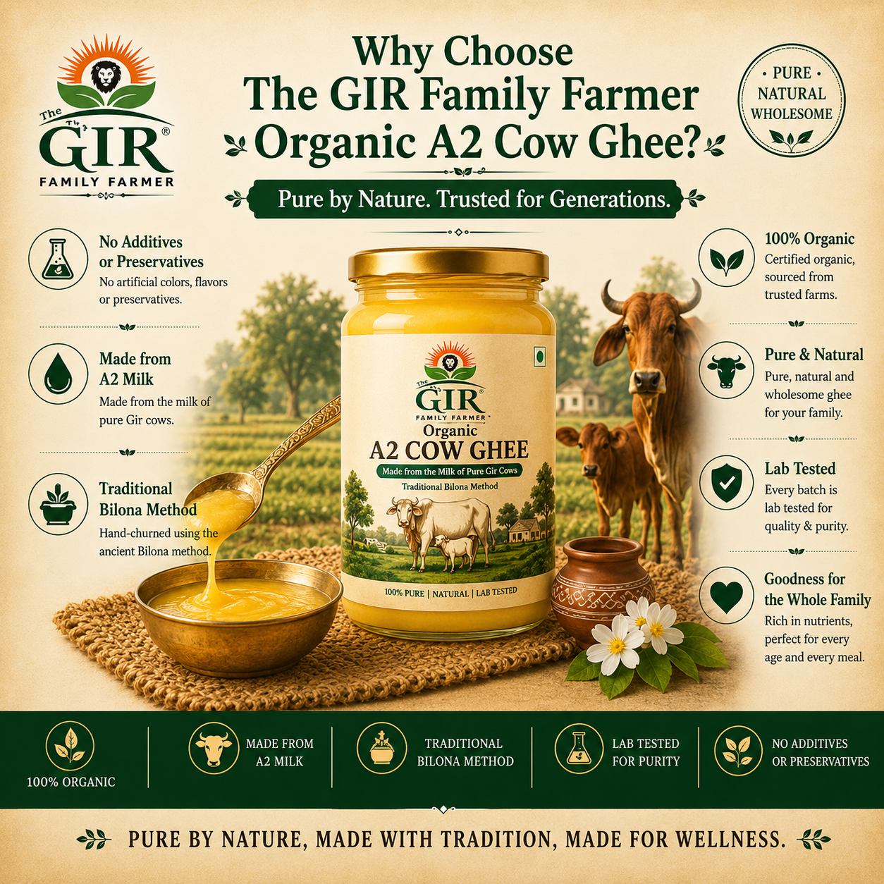 A2 Gir Cow Ghee | Organic Bilona Ghee | The Gir Farmer