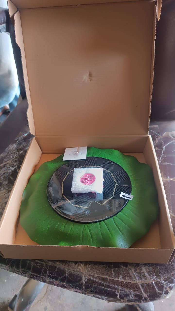 Decorative Solar-Powered Floating Water Fountain Pump Your Brand