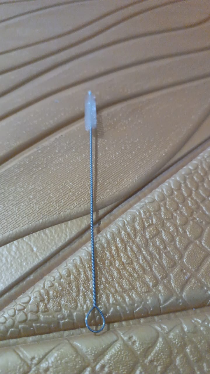 Stainless Steel Straw Cleaning Brush Drinking Pipe (20 Cm / 1 Pc) Your Brand