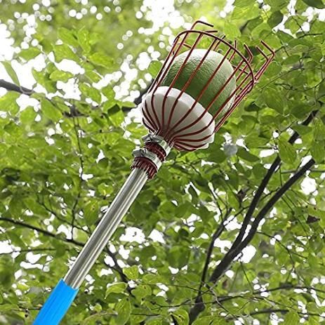 Easy fruit picking basket with metal cage and padded grip picking a green fruit from a tree