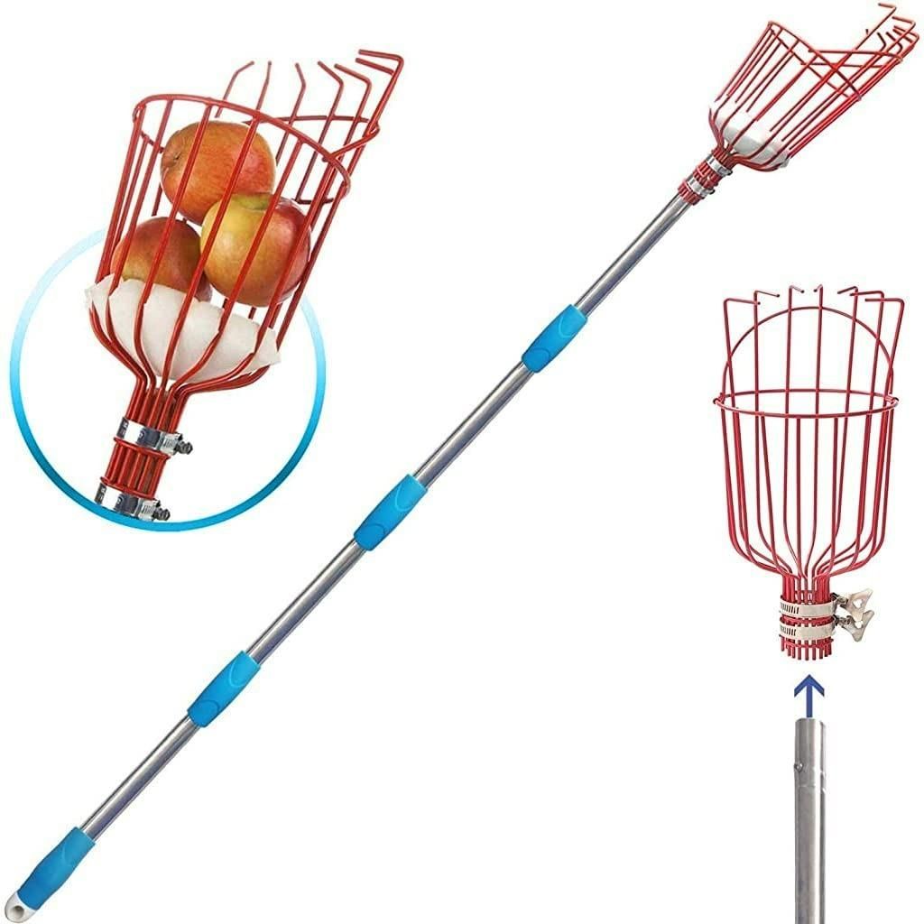 The Gir Farmer easy fruit picking basket with extendable handle and metal wire basket holding apples