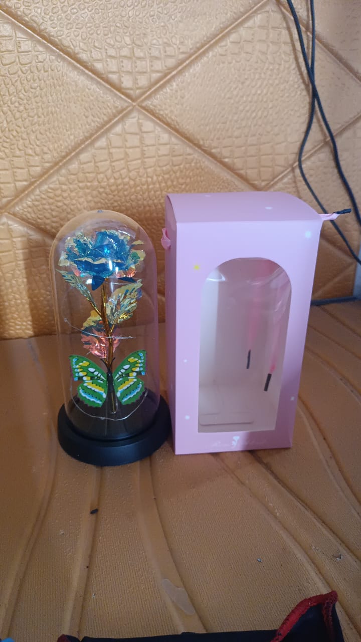 LED-Powered Eternal Rose in plastic Dome (1 Pc / Battery not Included) Your Brand