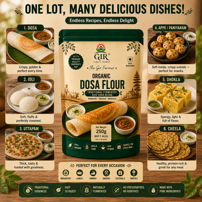 Organic Dosa Flour Traditional Fermented Rice Urad Blend | The Gir Farmer