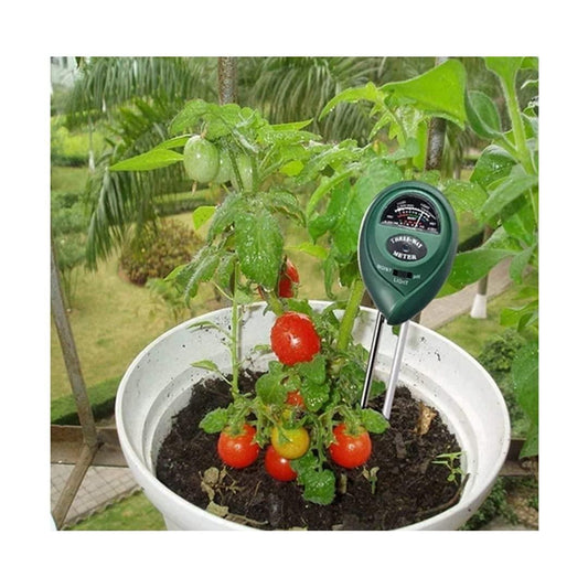 Garden soil tester for home use inserted in soil of tomato plant in white pot outdoors