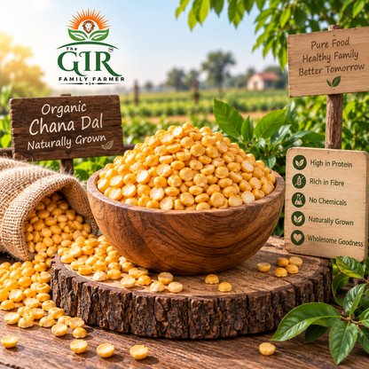 Organic chana dal in a wooden bowl, naturally grown and high in protein for healthy meals