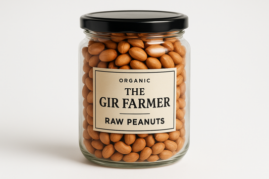Premium Product Shot