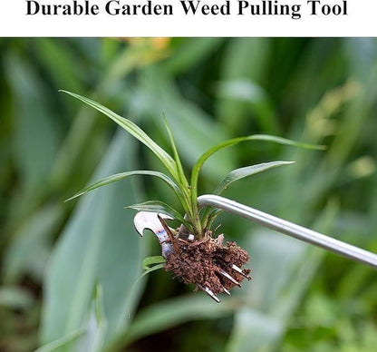 Manual weed remover for small farms pulling out a weed with roots from garden soil