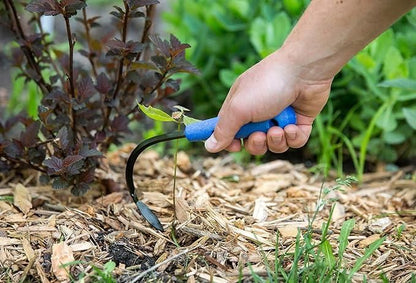 Hand using mini weeder pack for raised beds with blue handle to remove weeds from garden soil