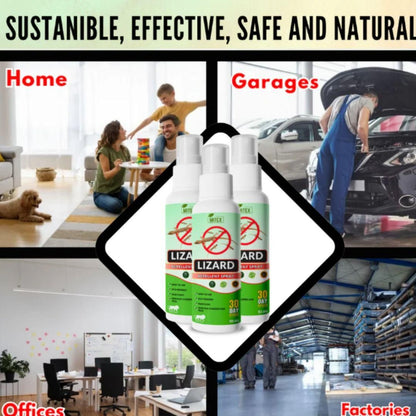 Organic lizard repellent spray bottles shown in various home and office settings for effective pest control