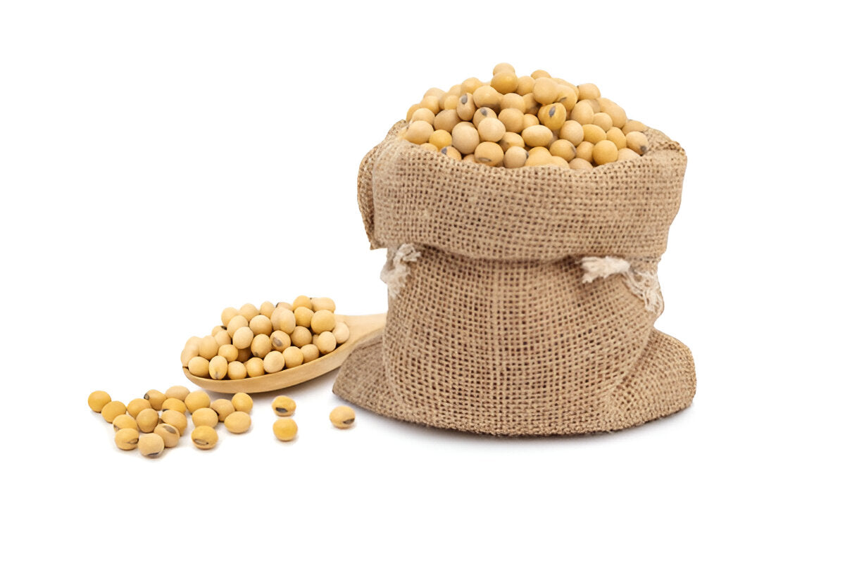 Nutrient-rich soyabean for cooking in a burlap sack with some soyabeans spilled beside it