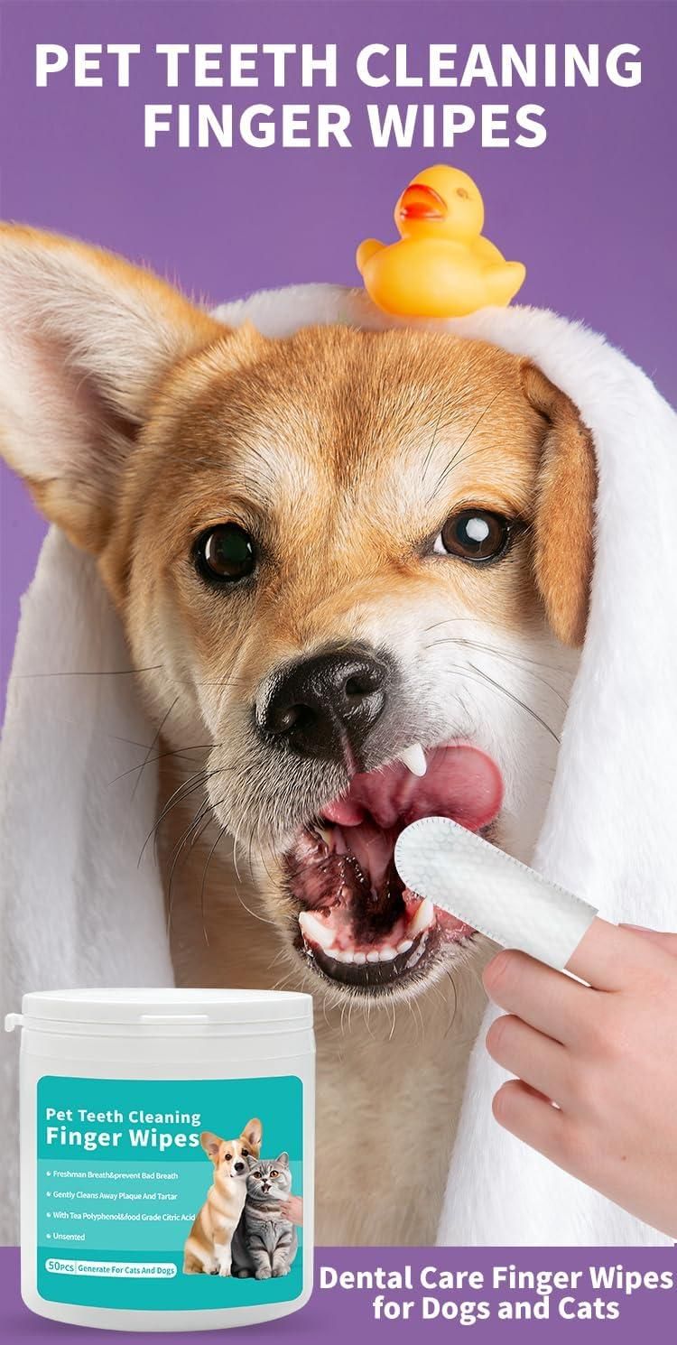 Dog using cat and dog oral care wipes finger wipe for teeth cleaning and dental care