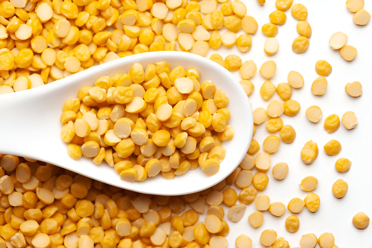 Close-up of organic chana dal yellow lentils in a white ceramic spoon and scattered on a white surface