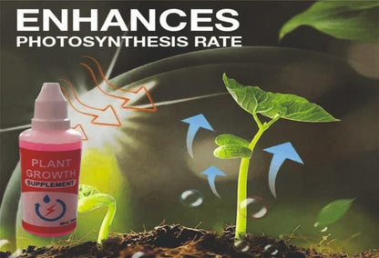 Organic plant growth enhancer in pink bottle with green seedlings growing in rich soil and sunlight focused on leaves