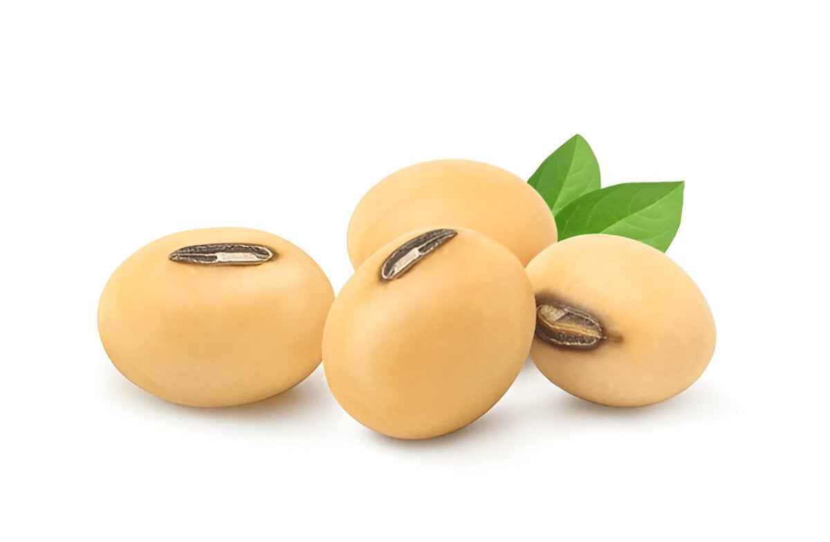 THE GIR FARMER Organic Soybean Beans for Cooking