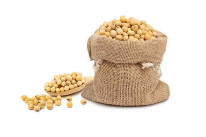 Natural burlap sack filled with organic soybean beans, perfect for cooking and plant-based recipes.