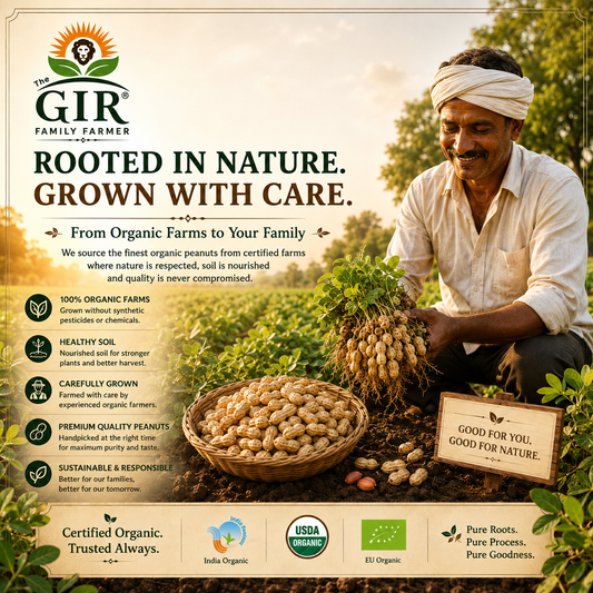 Organic Peanut Oil  - Pure & Natural Gir Farmer Premium Quality