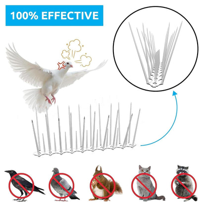 Pigeon control spikes set shown with an illustration of birds being deterred from landing